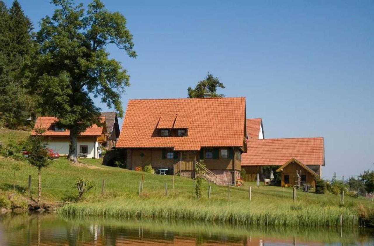 Ferienhof Kienbronnerhof Schiltach Zewnętrze zdjęcie