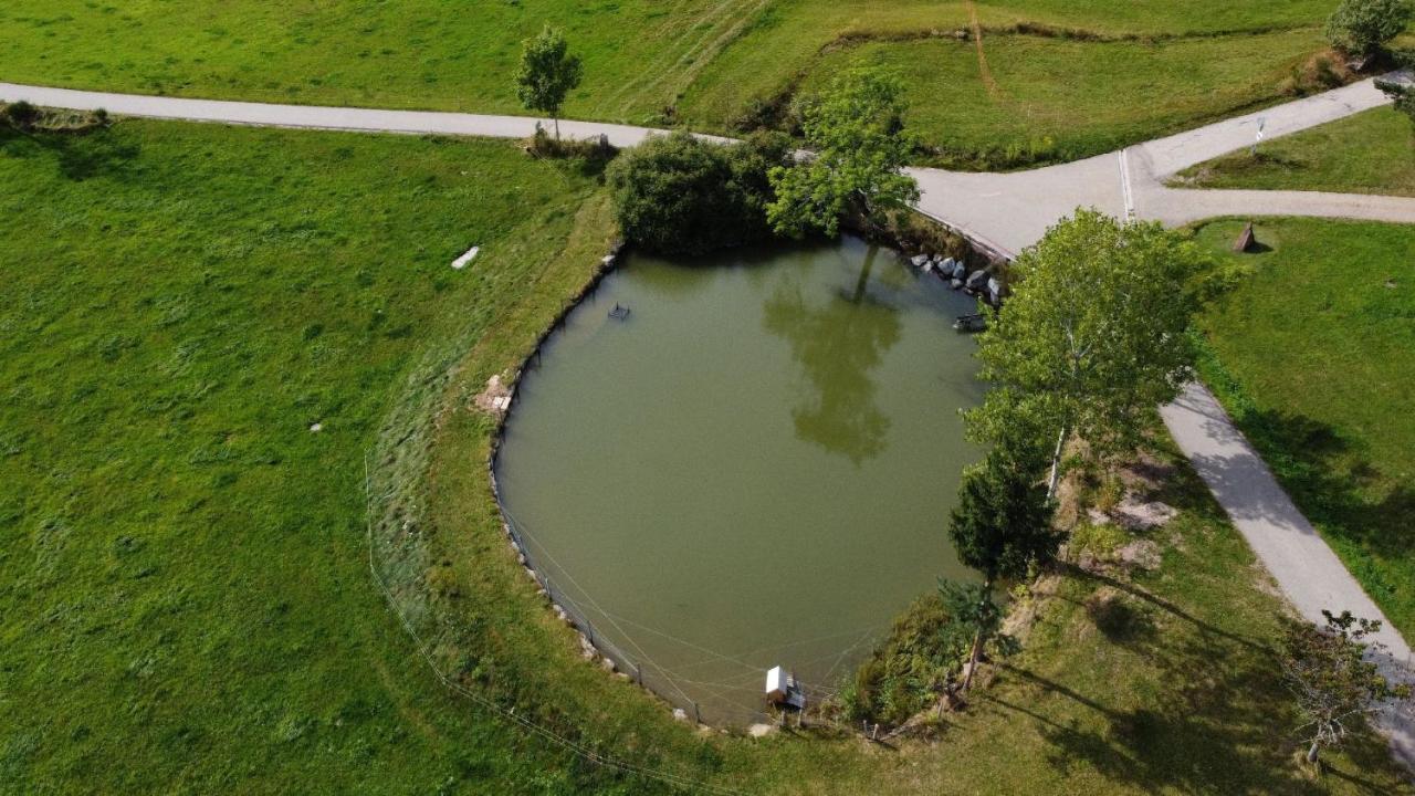 Ferienhof Kienbronnerhof Schiltach Zewnętrze zdjęcie
