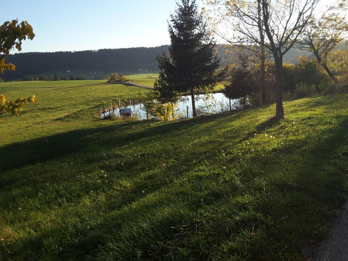 Ferienhof Kienbronnerhof Schiltach Zewnętrze zdjęcie